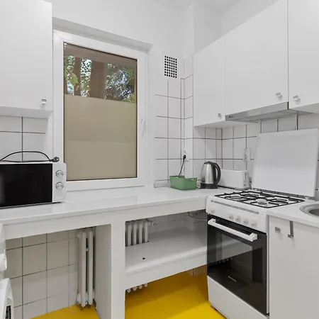 Calea Victoriei Apartment *